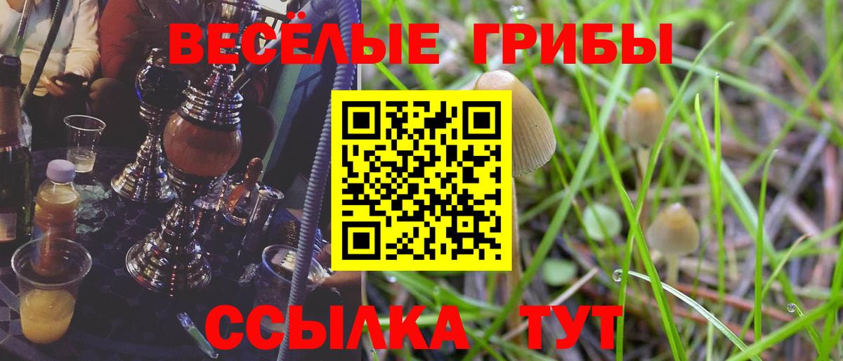 Псилоцибиновые грибы мицелий Чусовой