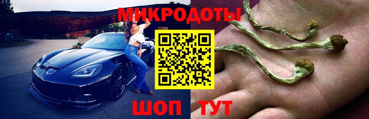 Чусовой  Псилоцибиновые грибы Psilocybine cubensis  Псилоцибиновые грибы Psilocybine cubensis  Вход с VPN 